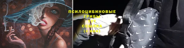 стафф Нефтегорск
