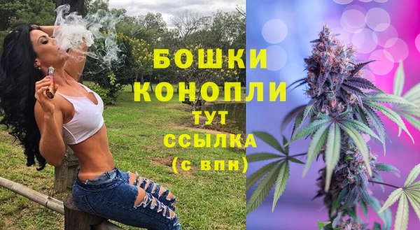 стафф Нефтегорск
